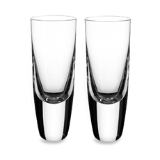 VILLEROY AND BOCH SHOT TUMBLERS SET OF 2
