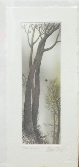 FRANKLIN GALAMBOS HAND TINTED ETCHING " ASCENSION " FRAMED FRANKLIN GALAMBOS HAND TINTED ETCHING " ASCENSION " FRAMED