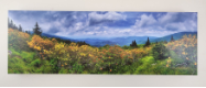 DOUG CAVANAH " PROMISED LAND " DOUG CAVANAH " PROMISED LAND "