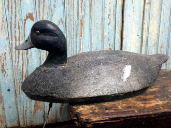 DON YUILL " BLUEBILL " DON YUILL " BLUEBILL "