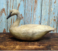 REGGIE BIRCH " SWAN " REGGIE BIRCH " SWAN "