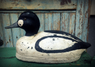 DON YUILL " GOLDENEYE " DON YUILL " GOLDENEYE "