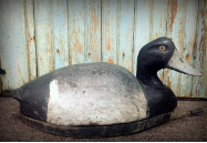 DON YUILL " BLUEBILL DRAKES " DON YUILL " BLUEBILL DRAKES "