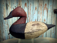MARK FINESECY " CANVASBACK "