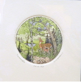 SUSAN HUNT WULKOWITZ HAND TINTED ETCHING  " FOREST EDGE "