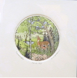 SUSAN HUNT WULKOWITZ HAND TINTED ETCHING " FOREST EDGE " SUSAN HUNT WULKOWITZ HAND TINTED ETCHING " FOREST EDGE "