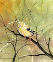 P. BUCKLEY MOSS GICLEE ON PAPER " THE GOLDFINCH "