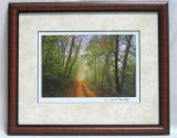 KENNETH MURRAY PHOTOGRAPHY " DIRT ROAD " FRAMED