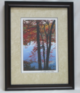 KENNETH MURRAY PHOTOGRAPHY " SOURWOOD TREES AT BAYS MOUNTAIN " FRAMED