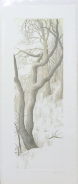 FRANKLIN GALAMBOS HAND TINTED ETCHING " OUTSIDE MY STUDIO WINDOW " FRANKLIN GALAMBOS HAND TINTED ETCHING " OUTSIDE MY STUDIO WINDOW "