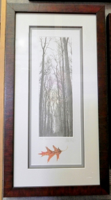 FRANKLIN GALAMBOS FRAMED HAND TINTED ETCHING  " ROSE PALE " WITH EMBOSSED LEAF