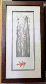 FRANKLIN GALAMBOS FRAMED HAND TINTED ETCHING  " ROSE PALE " WITH EMBOSSED LEAF FRANKLIN GALAMBOS FRAMED HAND TINTED ETCHING  " ROSE PALE " WITH EMBOSSED LEAF