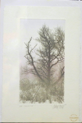 FRANKLIN GALAMBOS HAND TINTED ETCHING  " THICKET II "