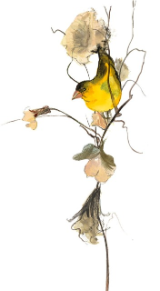 P. BUCKLEY MOSS GICLEE " PERFECT PERCH "