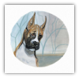 P. BUCKLEY MOSS PRINT " DOGS - BOXER "