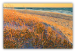 LARRY SMITH " BEACH WALK WITH GOLDEN GRASS " ORIGINAL OIL ON CANVAS